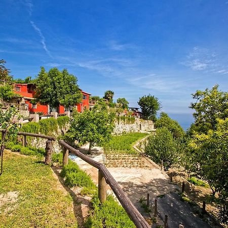 Agriturismo Pera Di Basso Искья Экстерьер фото